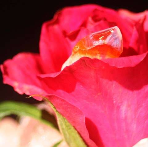 Photo: Crystal Rose Gallery